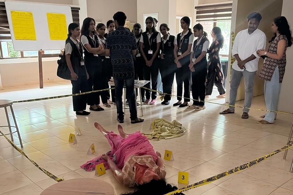 Connections Game