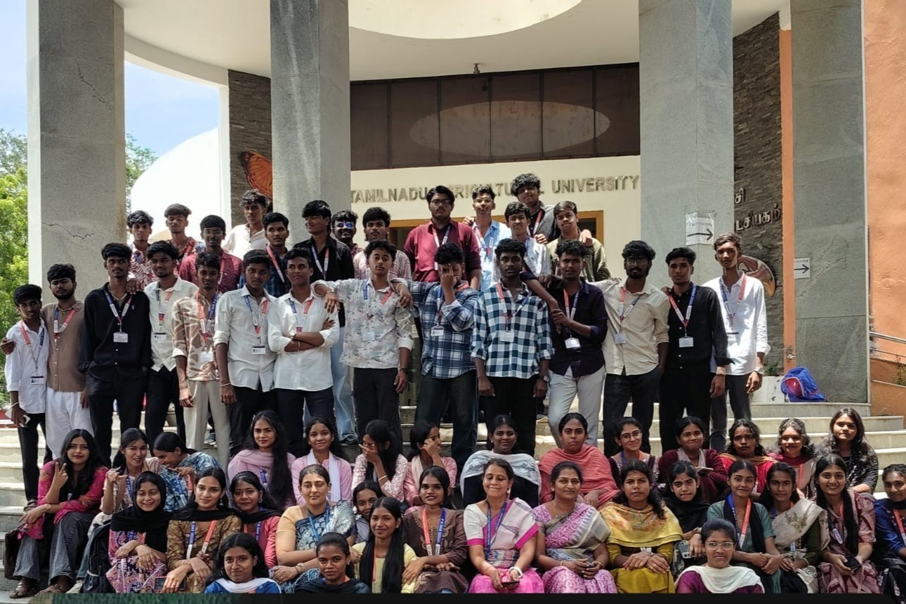 Creative Stroke Drawing Competition
